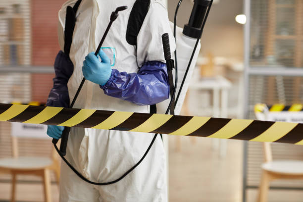 Professional Sewage Cleanup technician working in Dana, IN